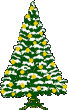 fir images-animate-gif